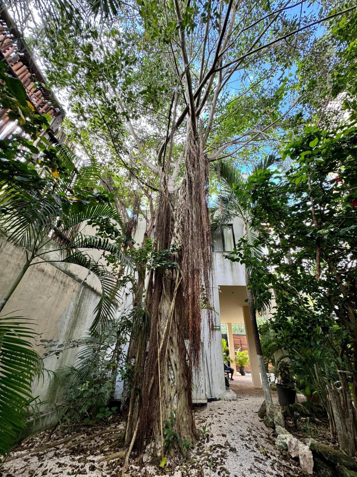 Starfit Hotel Boutique Beachclub, Spa & Gym Included Tulum Exterior foto